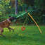 Remorque d'extérieur pour chien avec jeu de traitement de pneu en corde - jouet interactif pour chien pour un jeu actif