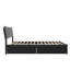 Harlowe Wood Platform Bed with Storage Drawers-1356210685-1356210686