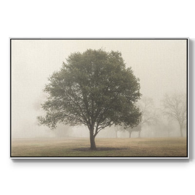 «Trees in the Fog I», reproduction encadrée sur toile