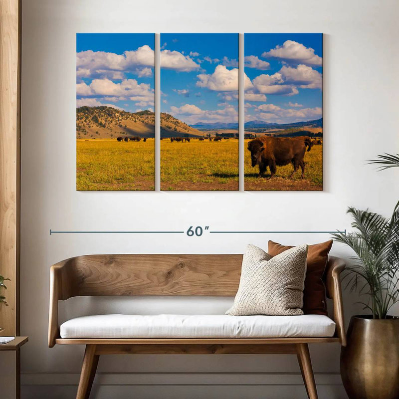 Bison de Brampt dans le parc national, H 32 po x l 50 po