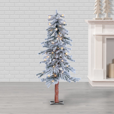 4 ft. Pre Lit Clear UL Flocked Alpine Tree