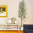 6ft Artificial Olive Tree with Black Planter