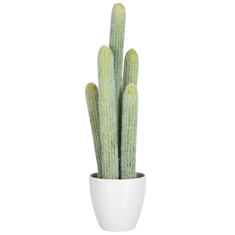 54 cm H Faux Cactus Plant