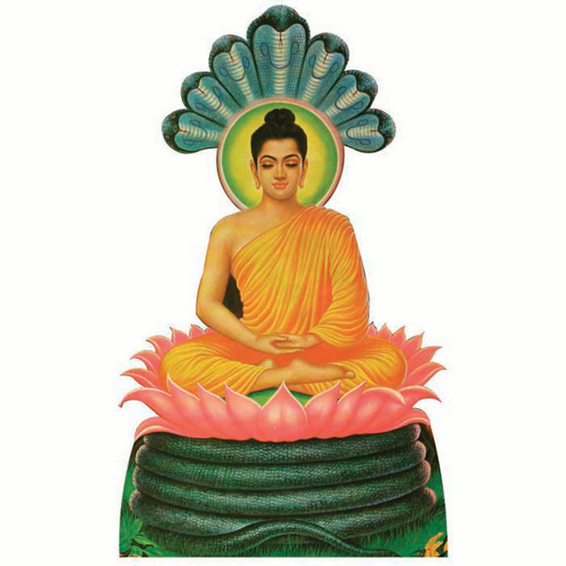Buddha Cardboard Standup