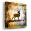 «High Country Deer» par Lightbox Journal-153411304