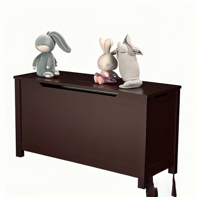 Kids Wooden Toy Box Storage with Safety Hinged Lid