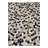 Jed Multi Rug