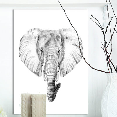 " Elephant In Black And White "