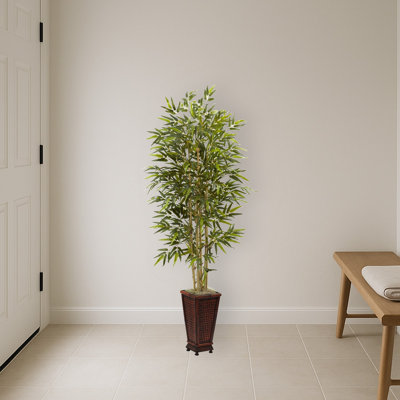 Bamboo Tree with Decorative Planter