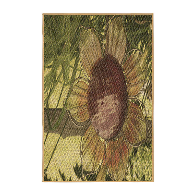 Tapis brun, Rectangle 4 pi x 6 pi