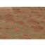 Floral Area Rug-1986706501