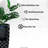 XBrand 23.8'' H Black Decorative Outdoor Water Fountain with LED Light and Integrated Planter