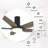 Fynnigan 52'' Ceiling Fan with LED Lights