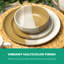Piece Stoneware Dinnerware Set - Service for 4-115203818