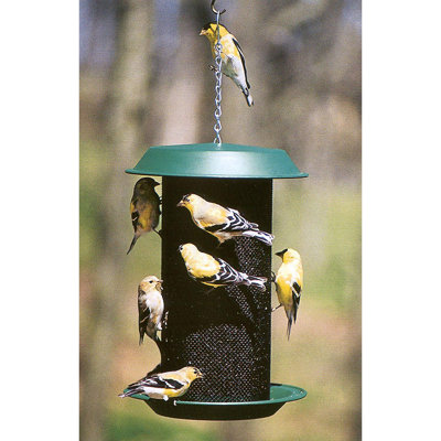 Woodlink Magnum 4-Quart Nyjer Thistle Seed Hanging Screen Bird Feeder, Green