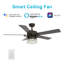 Ventilateur de plafond standard à 5 pales de 52 po avec commande murale et ensemble d'éclairage inclus -1304087376