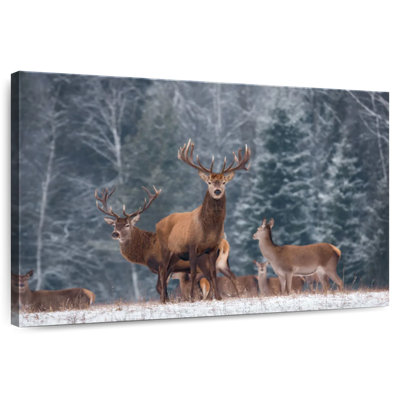 Cerf d'hiver Brampt