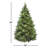 Quentin Pine Tree with Clear Lights-242982735