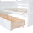 Haleena Twin Daybed with Drawers and Canopy-1646574673