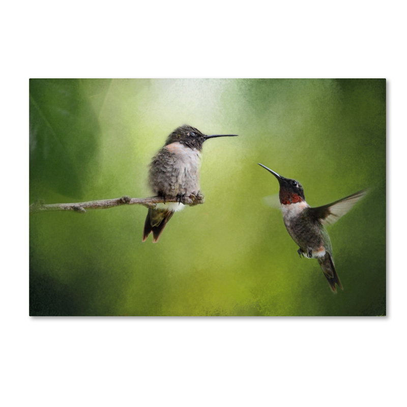 Vidur 'Wake Up Call Hummingbirds' Graphic Art Print on Wrapped Canvas, 12" H x 19" W