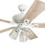 Ventilateur de plafond 52 po Glenmont-167357257