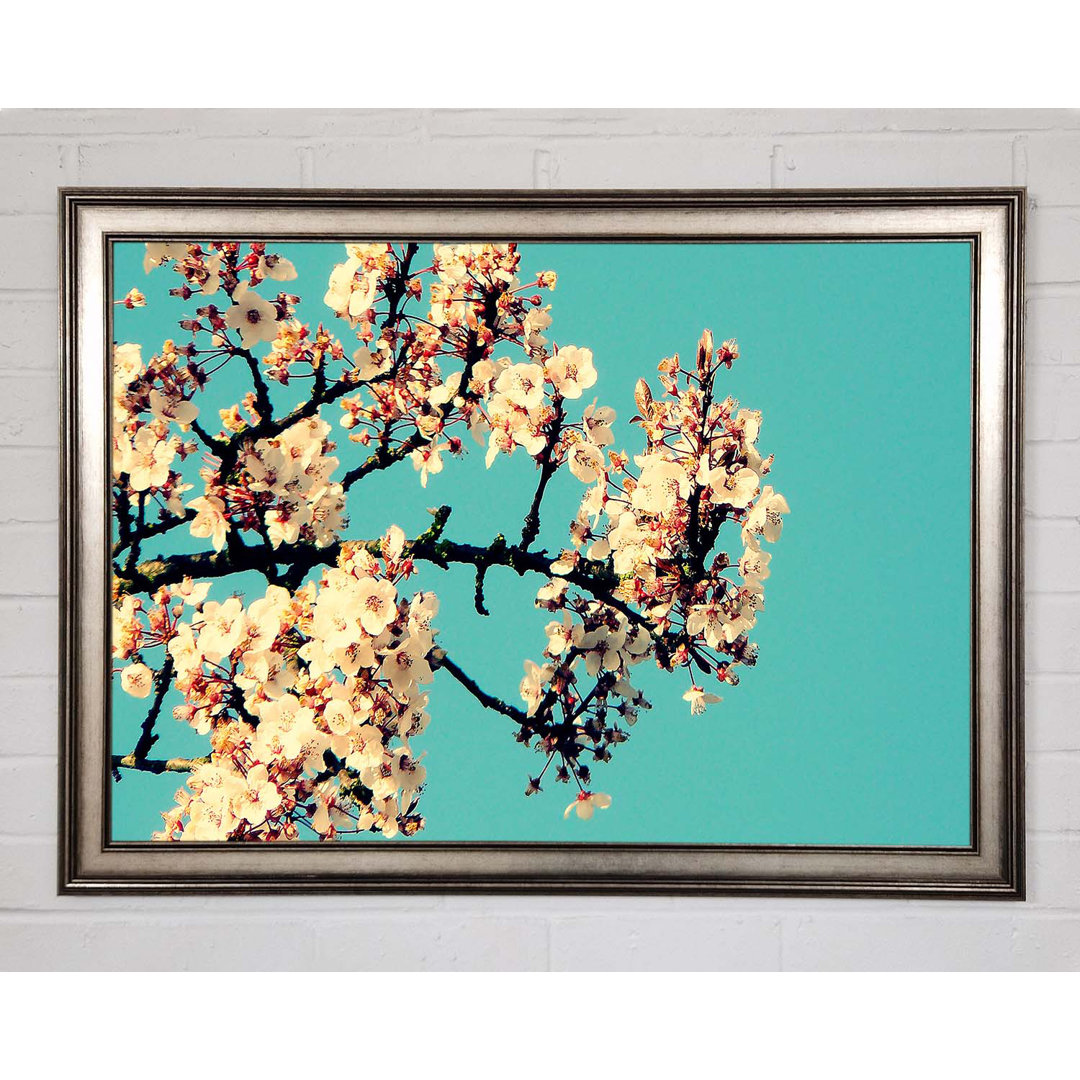 Gerahmtes Poster Blossom Tree Against A Blue Sky