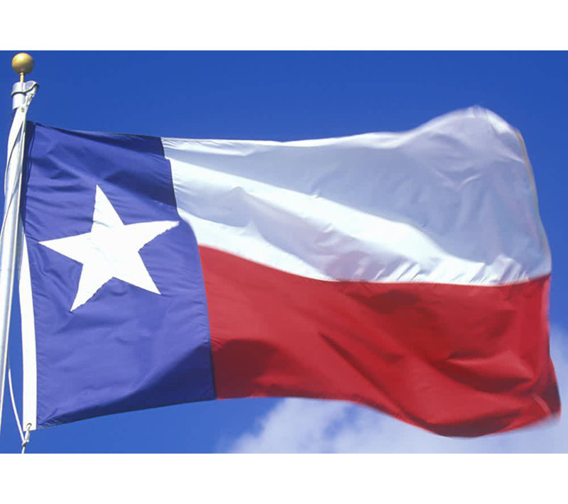 Double Sided House Flag, 24" H x 36" W, Nylon, Texas