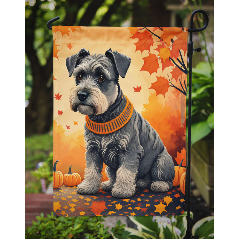 Drapeau de jardin double en polyester H 15,5 po x l 11,25 po