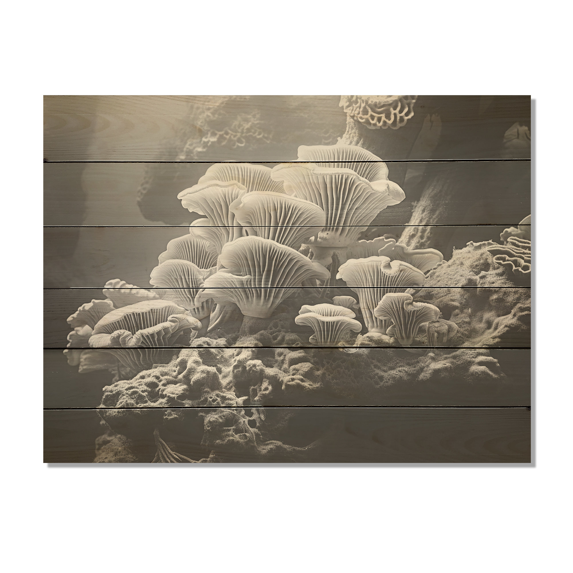 Ophelia & Co. Anemone Reef I Coastal Coral Under Water Wood Wall Art