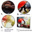 Curious Ladybug Crimson Serenity-1588278231-1588278230