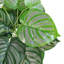60cm Green Stripe Artificial Foliage Plant-39799300