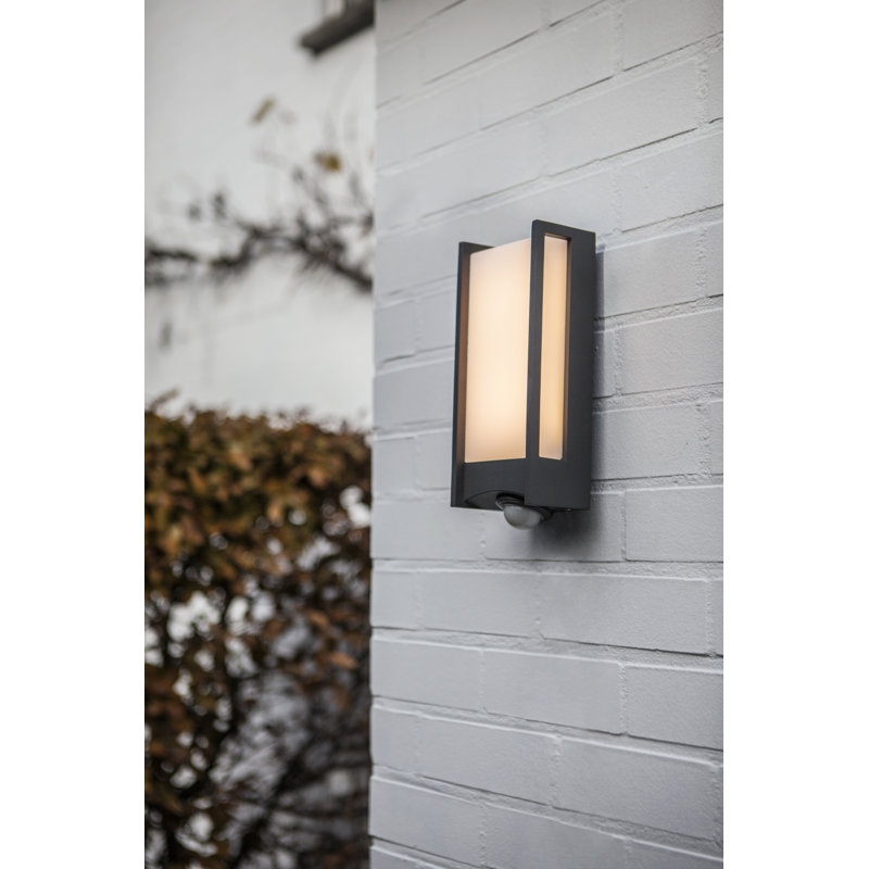Vahram 1-Light LED Wall Spotlight