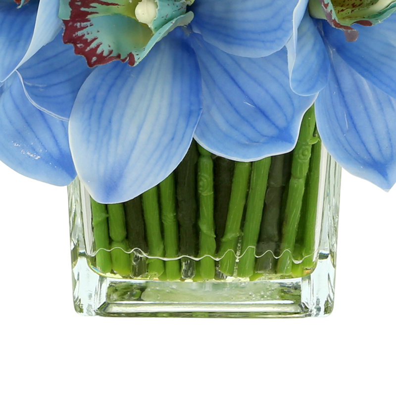 Orchid in Flat Glass Vase, Blue
