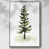 Silver Floater Framed is out of stock selected