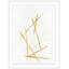 Sticks No Stones 1 Painting by Thom Filicia
