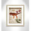 Adhésif décoratif dinosaures - 01 pi-47836263-47836274
