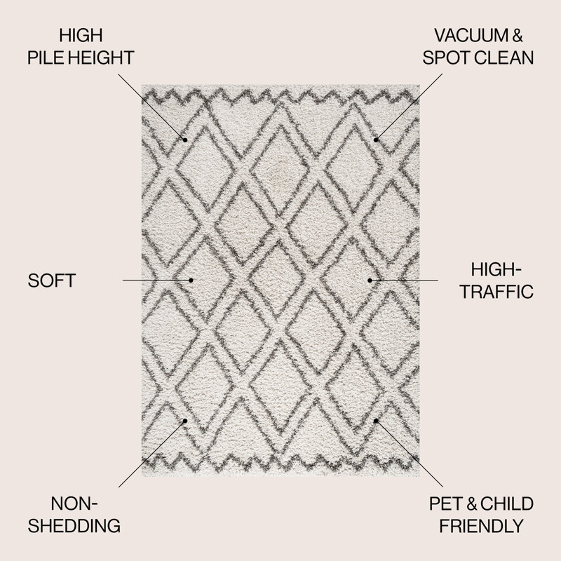 Schlemmer Diamond Trellis Shag Beige/Dark Gray Rug, Rectangle 3' x 5'