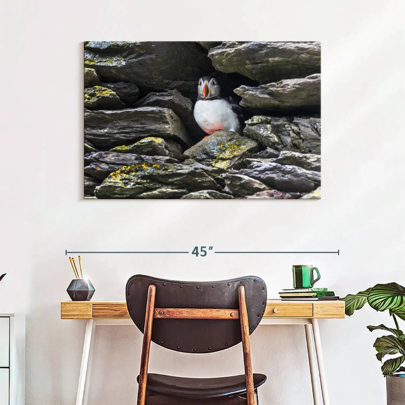 Crowle Resting Atlantic Puffin, 26" H x 39" W