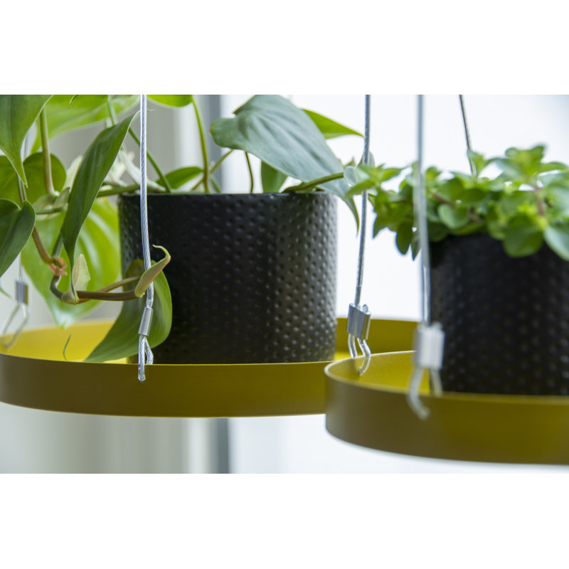 Plant Tray Hanging Round, 2.1 H x 24 L x 24cm D, Gold