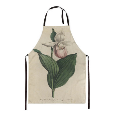 Showy Lady's-Slipper - Botanical Aprons