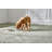 Alterna Tivoli Travertine 12" X 24" X 5Mm Engineered Tile