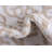 Whitting Oriental Indoor Rug-1183272238