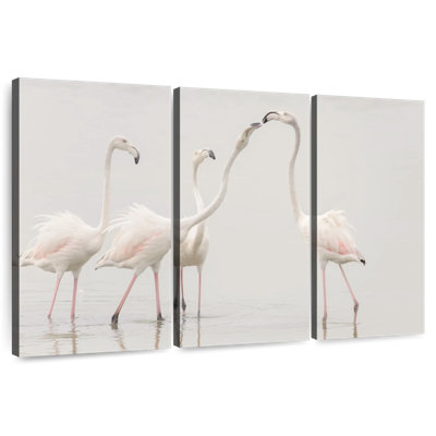 Flamants blancs immaculés
