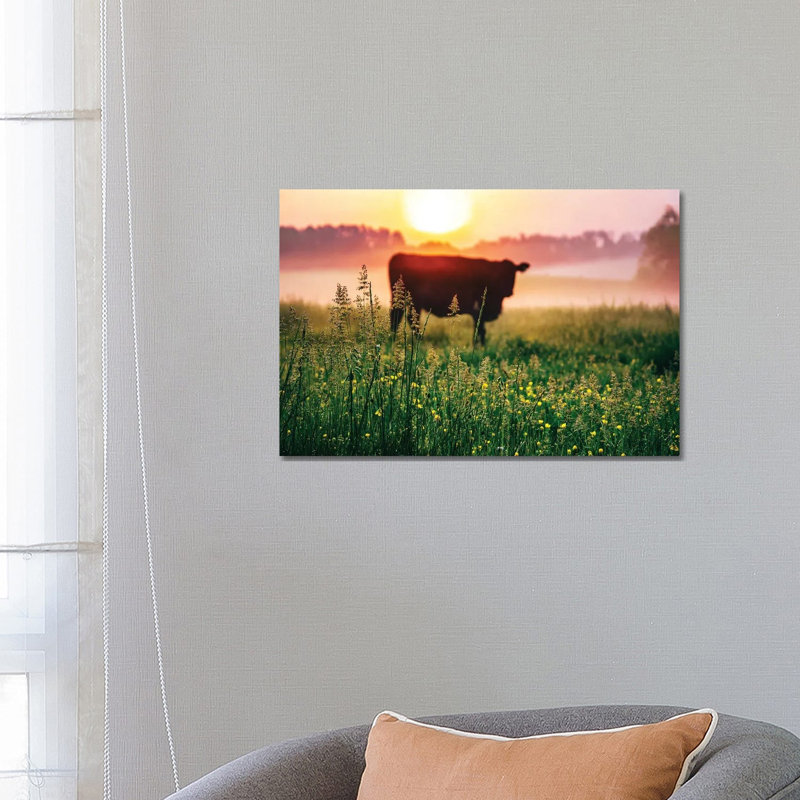 Cow Sunrise by Lucas Moore - Wrapped Canvas Print, 66.04 cm H x 45.72 cm W