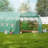 Walk-in Tunnel Greenhouse Galvanized Frame PE Cover-102299557-102299562