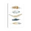 Feather Collection II by Carol Robinson - Painting on Canvas-1216286032-1216285992