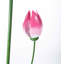 Piquet de jardin Mishon