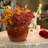 High quality ceramic flowerpot