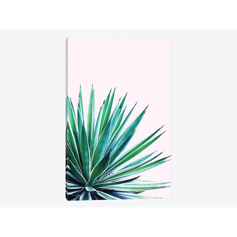 « agave love »-impression sur l’image, H 12 po x l 8 po x P 0,75 po, Toile tendue