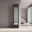 Armoire de rangement avec miroir et porte sur 4 tablettes Sailie, design moderne, wengé